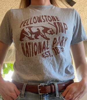 Yellowstone National Park YNP Bear Graphic T-Shirt Gray Heather EST 1872